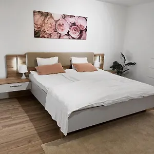 Apartment Eine Schoene Im Herzen Von Basel.